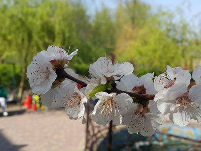 2 20180421_152912-min.jpg