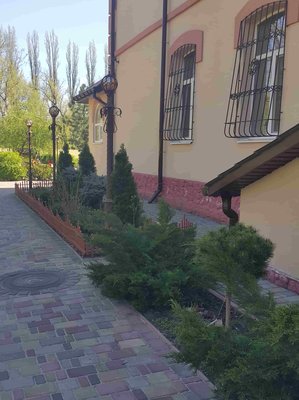 2 20180422_102833-min.jpg